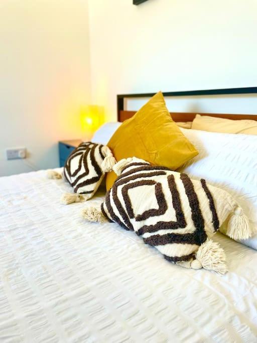 Modern Chic Summer Holiday Retreat. New Quay Exterior foto